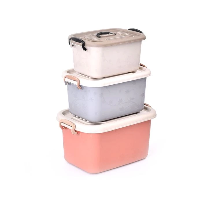 Food Container, Goods Storage Mold
